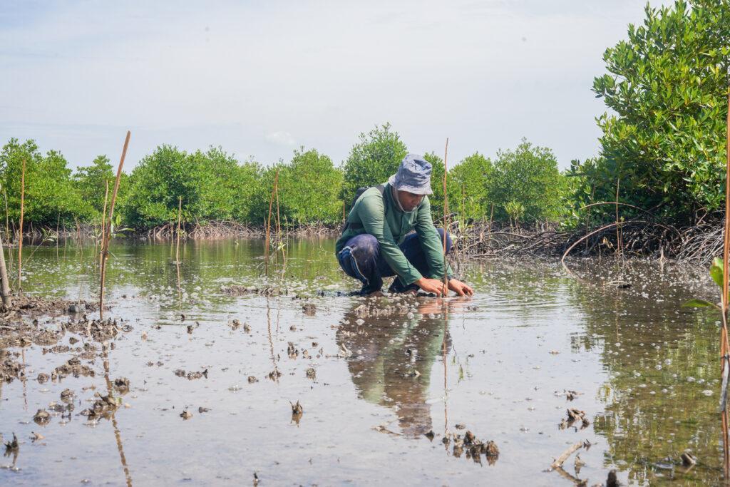 After Planting Pulau Kampai March