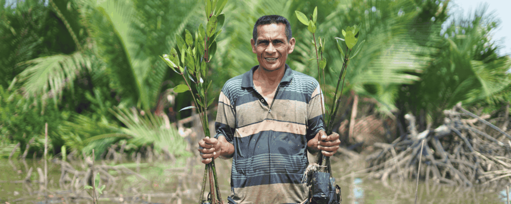 Celebrating 50,000 trees planted!