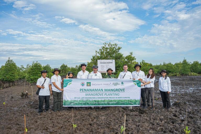 Mangrove Plantation at North Sumatra