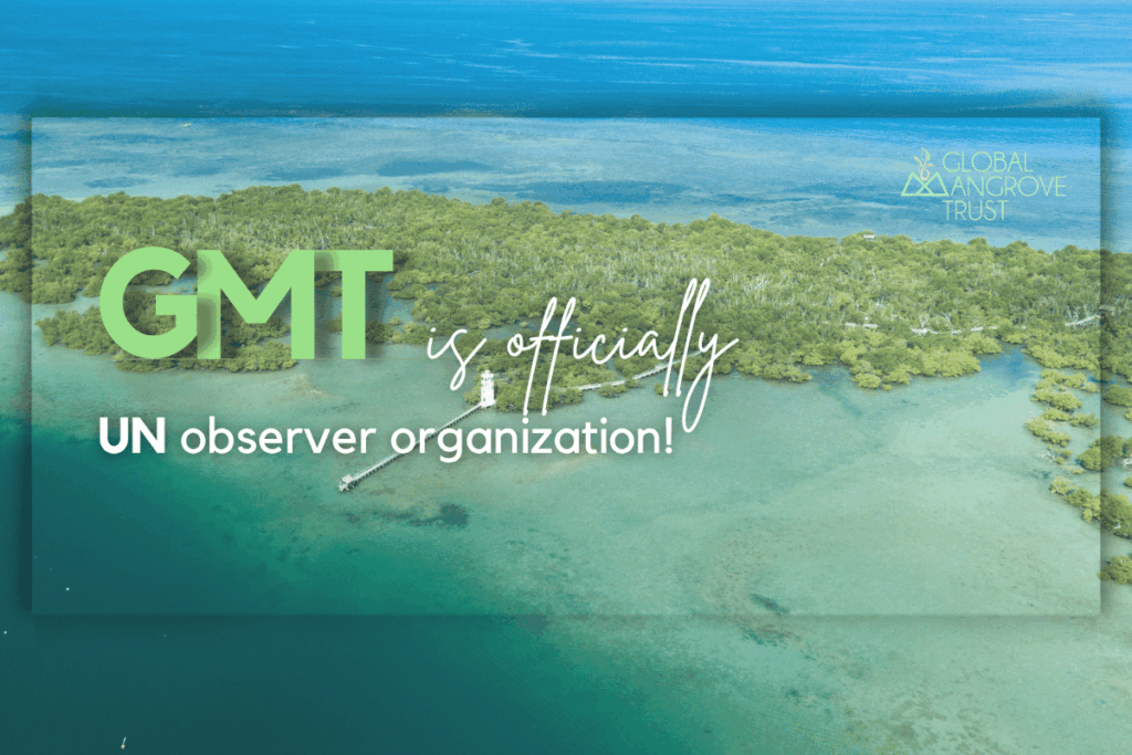 GMT Observer Status