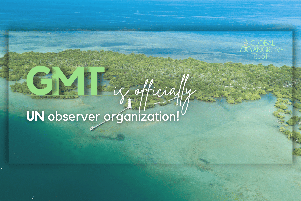 Celebrating a New Chapter: GMT’s Observer Status at the UNFCCC
