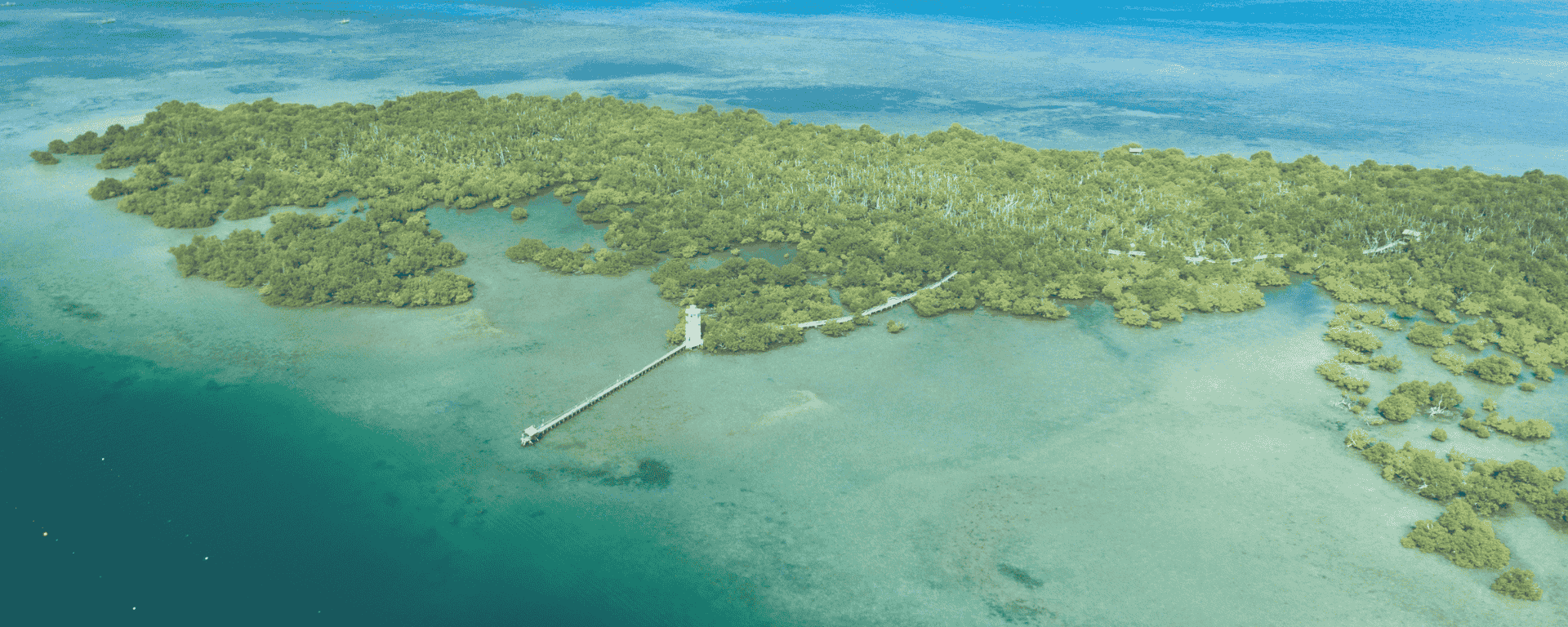 Celebrating a New Chapter: GMT’s Observer Status at the UNFCCC