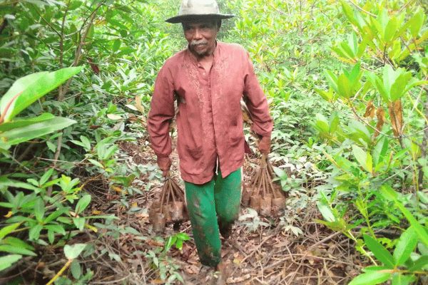 Progress Update on 001-OxC Project: Advancing Restoration and Reforestation Efforts