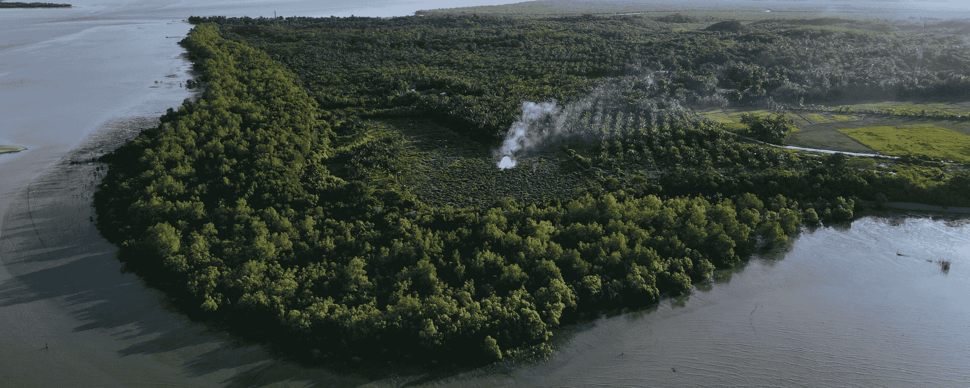 GMT Joins Global Mangrove Alliance to Propel Mangrove Conservation