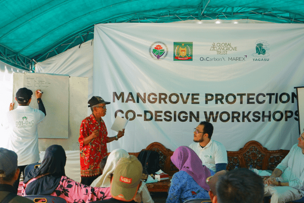 Mangrove Protection Co design Workshop
