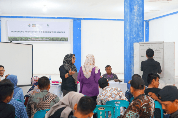 Mangrove Protection Co design Workshop