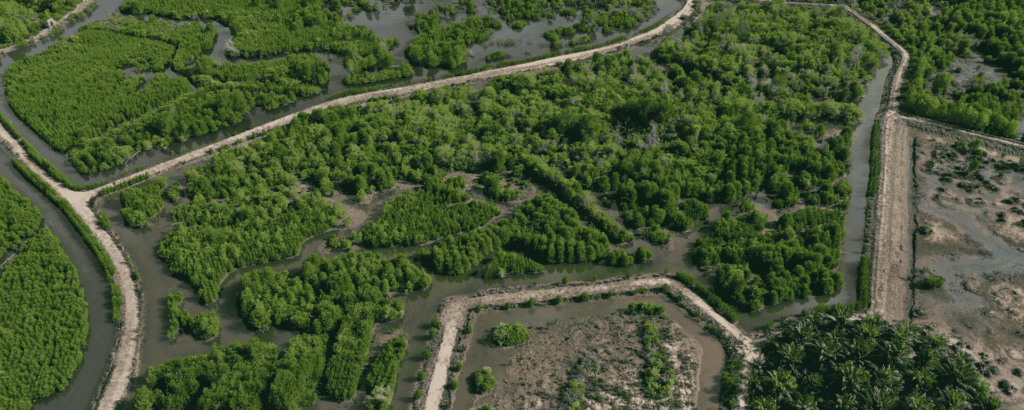 Expanding the Reach of 001-OxC Watershed Extension Project