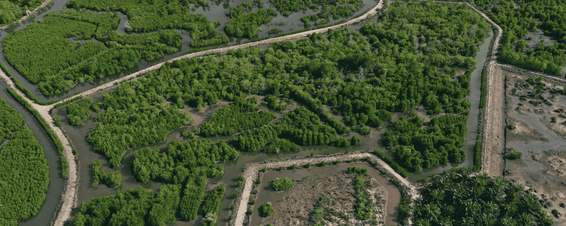 Expanding the Reach of 001-OxC Watershed Extension Project