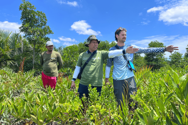 Mangrove Nursery Visit Global Mangrove Trust