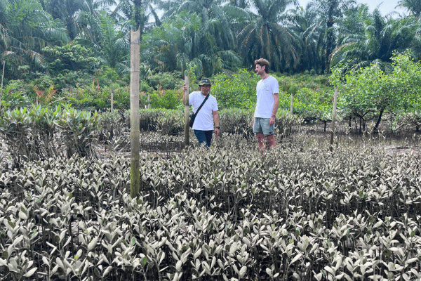 Mangrove Nursery Visit Global Mangrove Trust