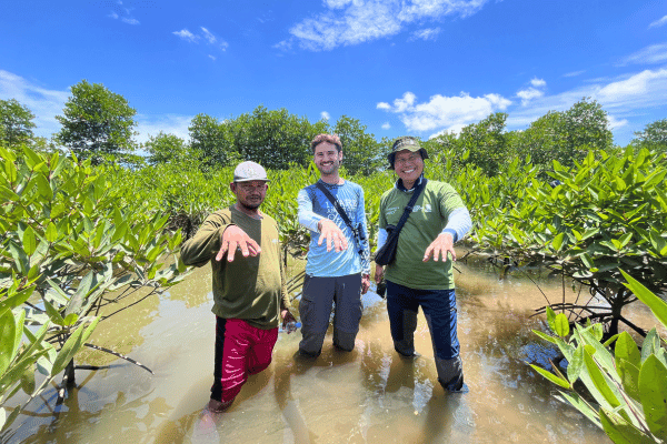Mangrove Nursery Visit and Survival rate inspection in North Sumatra