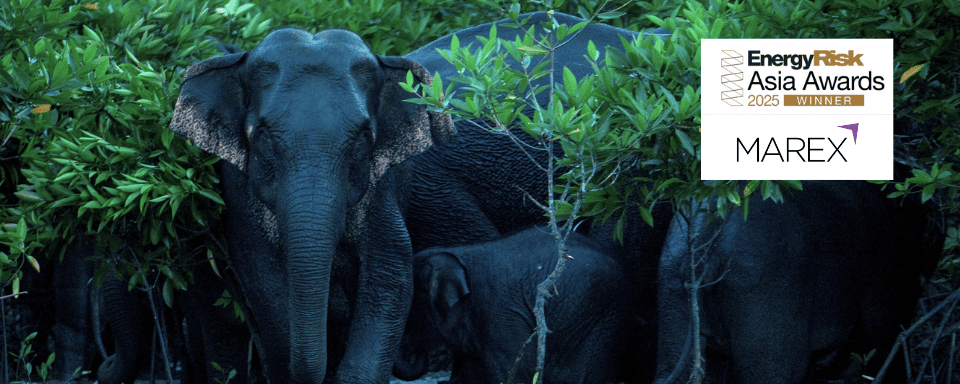 Voluntary carbon markets house of the year: Marex