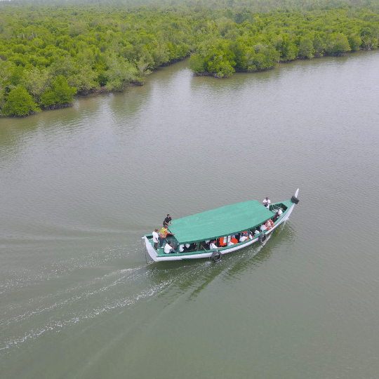 Community Engagement