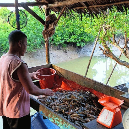 Community Engagement