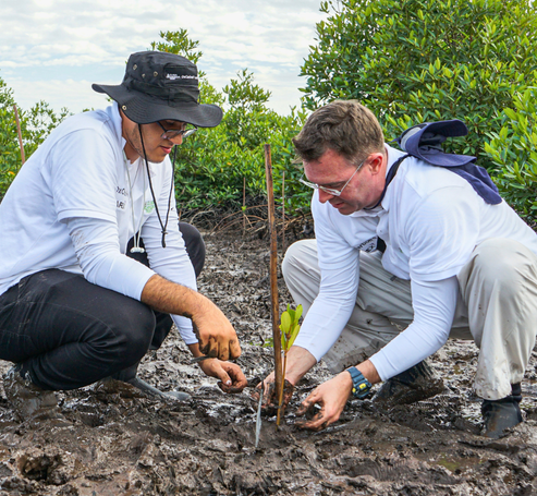 Global Mangrove Trust