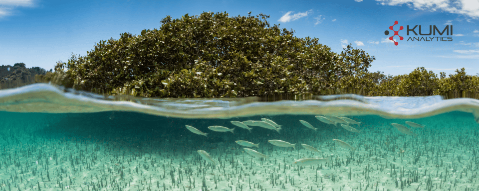FEATURE: High-integrity blue carbon faces “core tension” between science and scale