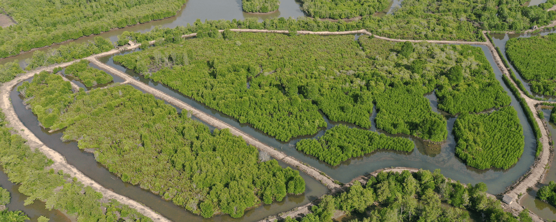Climate Success in Indonesia: International Development & Investment Opportunities