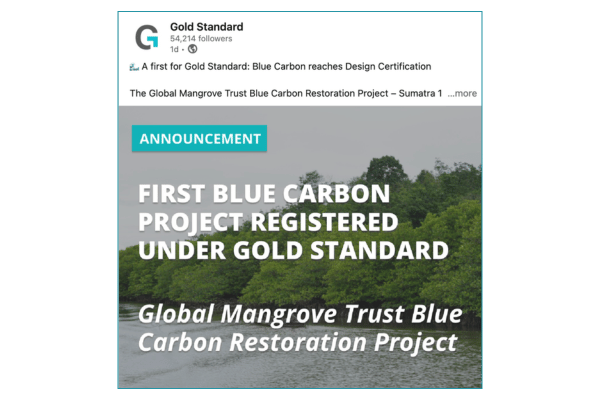 Gold Standard Issues First Design Certification for Blue Carbon Project in Indonesia