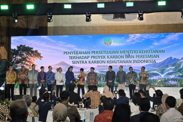 Global Mangrove Trust at the Launch of the Indonesia Forestry Carbon Hub