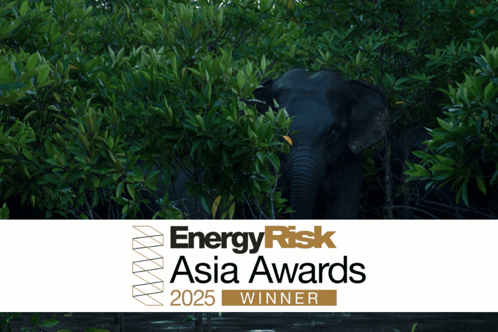 Marex Recognised as Voluntary Carbon Markets House of the Year