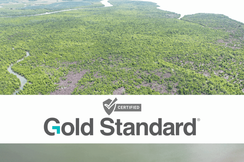 Gold Standard Issues First Design Certification for Blue Carbon Project in Indonesia