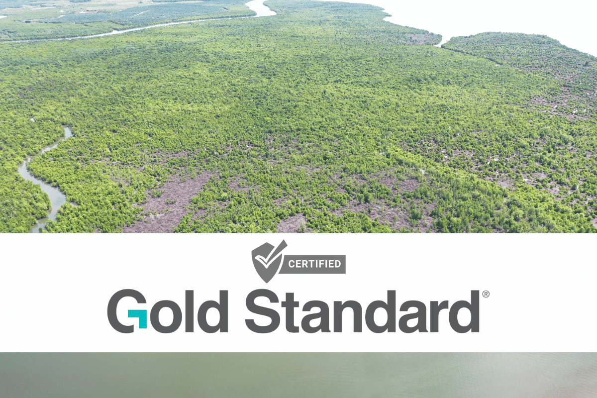 Gold Standard Issues First Design Certification for Blue Carbon Project in Indonesia