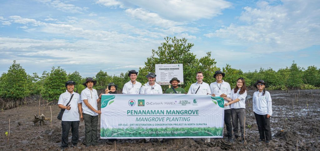 Mangrove Plantation at North Sumatra